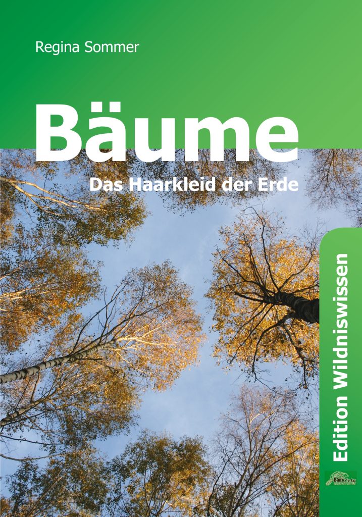 Cover: Bäume – Das Haarkleid der Erde